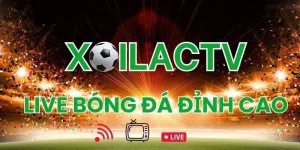 xoilactv bị chặn