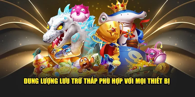 Dung lượng lưu trữ thấp