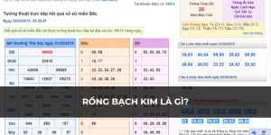 Rồng bạch kim là gì