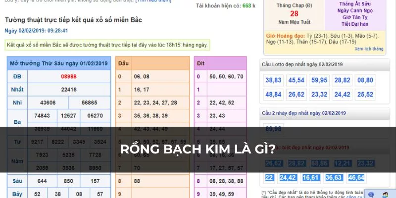 Rồng bạch kim là gì