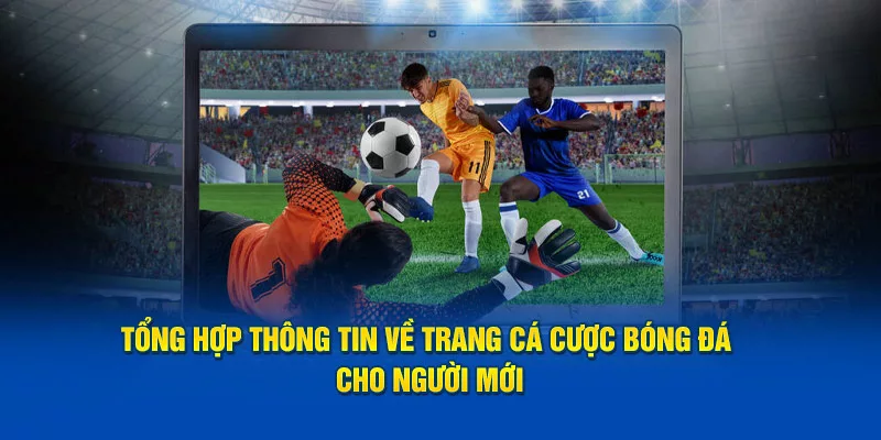 thông tin trang cá cược bóng đá