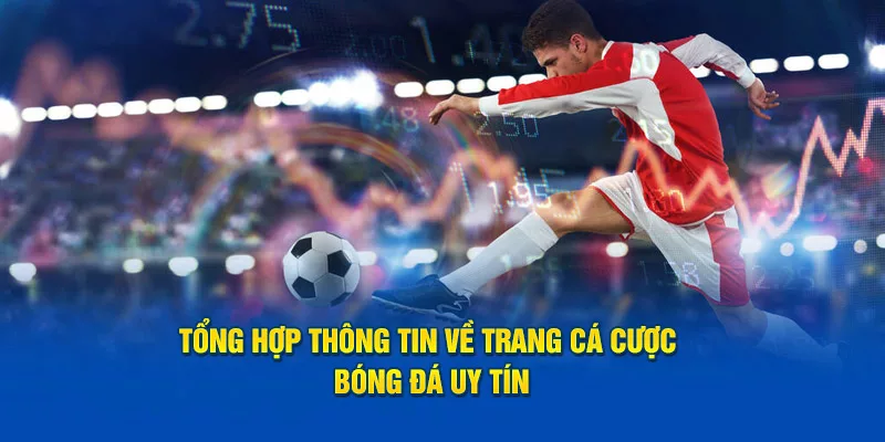 Trang cá cược bóng đá